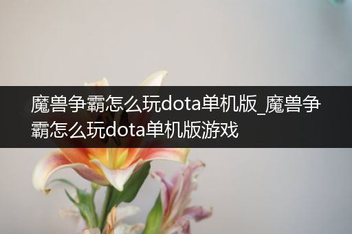 魔兽争霸怎么玩dota单机版_魔兽争霸怎么玩dota单机版游戏