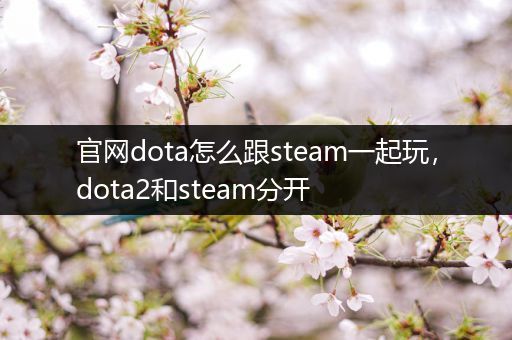 官网dota怎么跟steam一起玩，dota2和steam分开