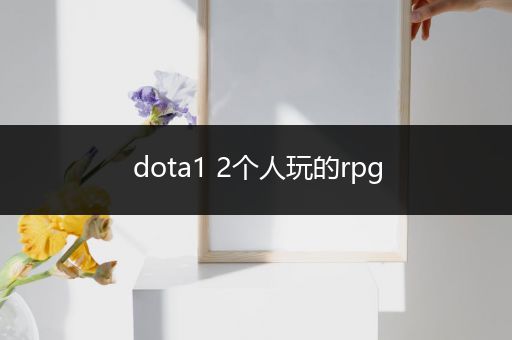 dota1 2个人玩的rpg