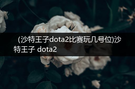 （沙特王子dota2比赛玩几号位)沙特王子 dota2