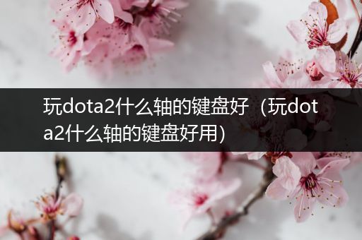 玩dota2什么轴的键盘好（玩dota2什么轴的键盘好用）