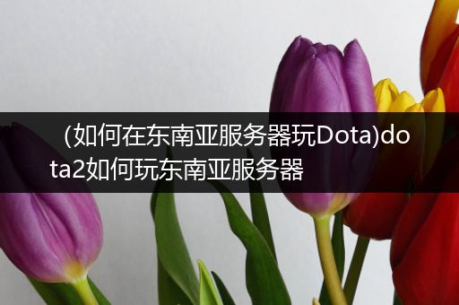 （如何在东南亚服务器玩Dota)dota2如何玩东南亚服务器