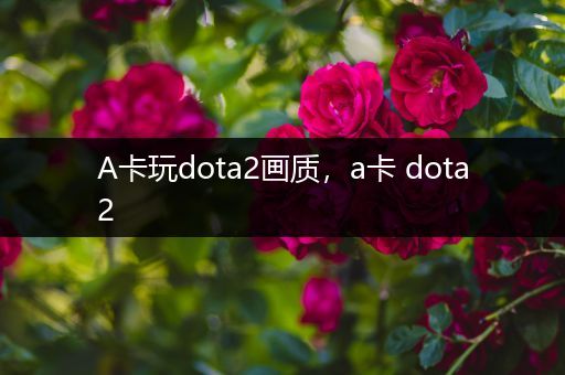 A卡玩dota2画质，a卡 dota2