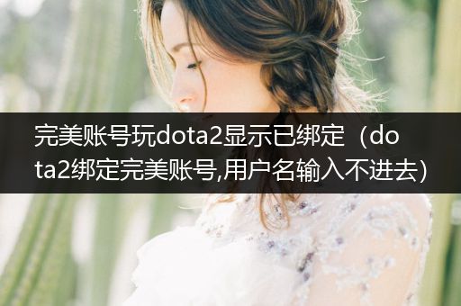 完美账号玩dota2显示已绑定（dota2绑定完美账号,用户名输入不进去）