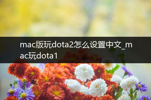 mac版玩dota2怎么设置中文_mac玩dota1