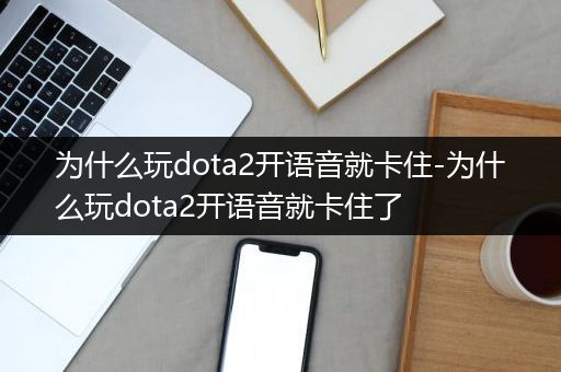 为什么玩dota2开语音就卡住-为什么玩dota2开语音就卡住了