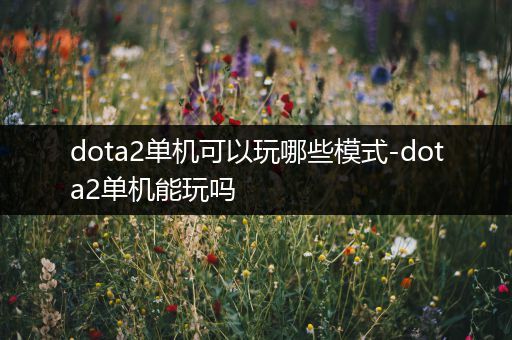 dota2单机可以玩哪些模式-dota2单机能玩吗