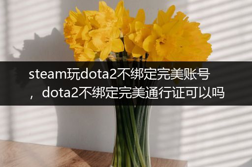 steam玩dota2不绑定完美账号，dota2不绑定完美通行证可以吗