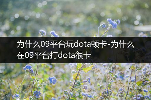 为什么09平台玩dota顿卡-为什么在09平台打dota很卡