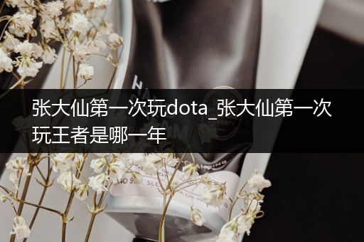 张大仙第一次玩dota_张大仙第一次玩王者是哪一年