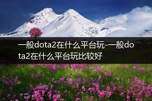 一般dota2在什么平台玩-一般dota2在什么平台玩比较好