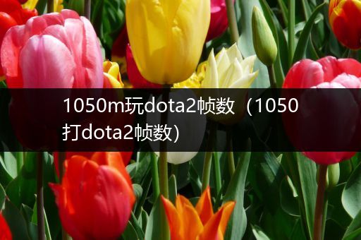 1050m玩dota2帧数（1050打dota2帧数）