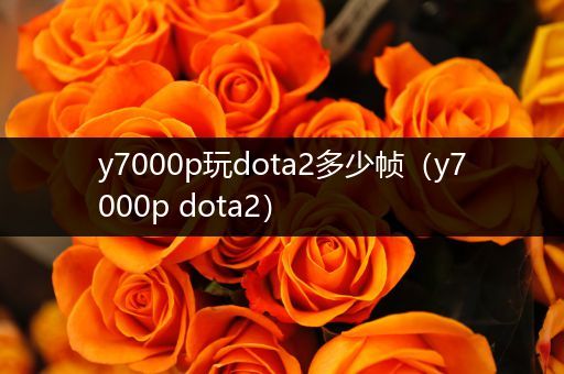 y7000p玩dota2多少帧（y7000p dota2）