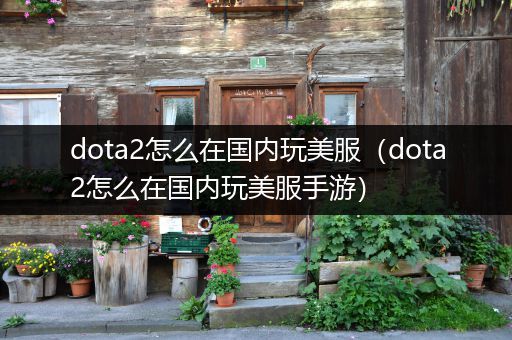 dota2怎么在国内玩美服（dota2怎么在国内玩美服手游）