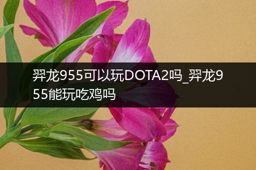 羿龙955可以玩DOTA2吗_羿龙955能玩吃鸡吗