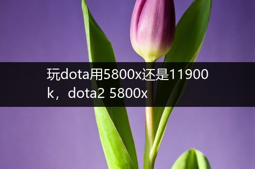 玩dota用5800x还是11900k，dota2 5800x