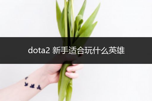 dota2 新手适合玩什么英雄