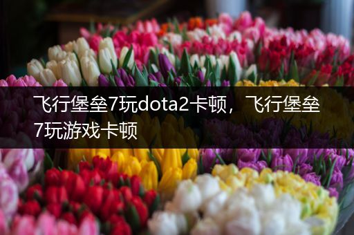 飞行堡垒7玩dota2卡顿，飞行堡垒7玩游戏卡顿