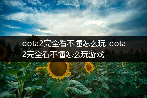 dota2完全看不懂怎么玩_dota2完全看不懂怎么玩游戏