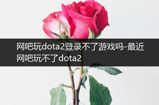 网吧玩dota2登录不了游戏吗-最近网吧玩不了dota2