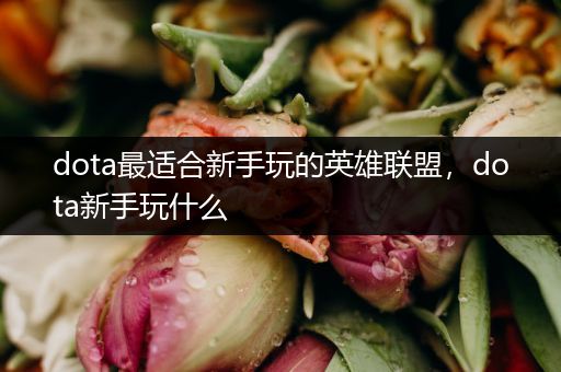 dota最适合新手玩的英雄联盟，dota新手玩什么