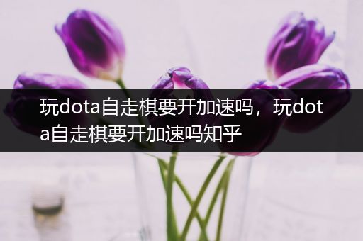 玩dota自走棋要开加速吗，玩dota自走棋要开加速吗知乎