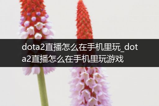 dota2直播怎么在手机里玩_dota2直播怎么在手机里玩游戏