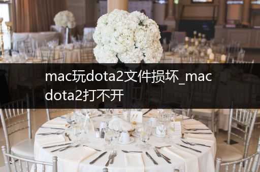 mac玩dota2文件损坏_mac dota2打不开