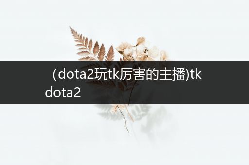 （dota2玩tk厉害的主播)tk dota2