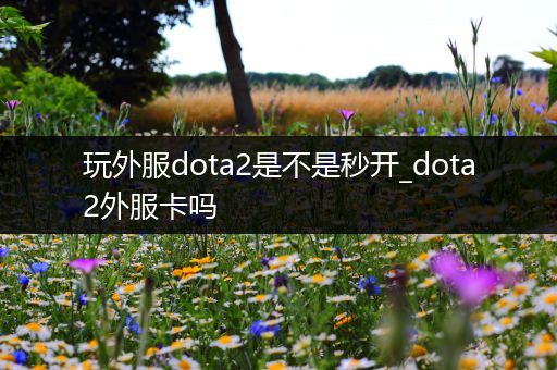 玩外服dota2是不是秒开_dota2外服卡吗