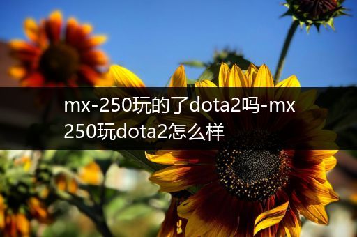 mx-250玩的了dota2吗-mx250玩dota2怎么样