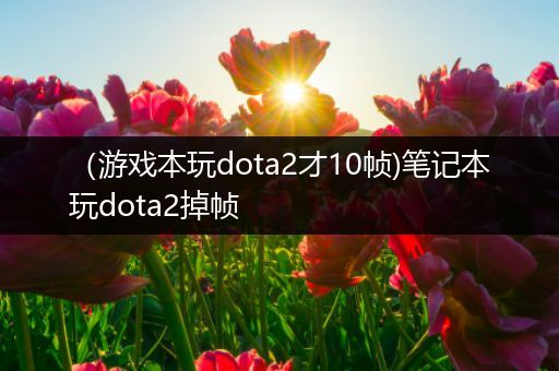 （游戏本玩dota2才10帧)笔记本玩dota2掉帧