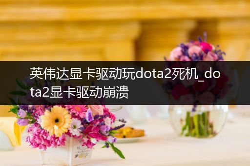 英伟达显卡驱动玩dota2死机_dota2显卡驱动崩溃