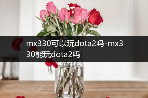 mx330可以玩dota2吗-mx330能玩dota2吗