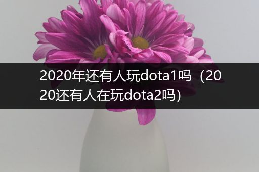 2020年还有人玩dota1吗（2020还有人在玩dota2吗）