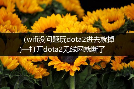 （wifi没问题玩dota2进去就掉)一打开dota2无线网就断了