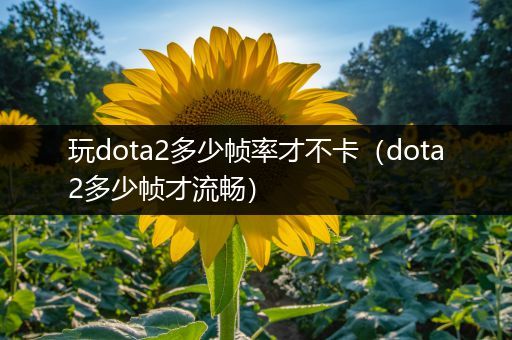 玩dota2多少帧率才不卡（dota2多少帧才流畅）