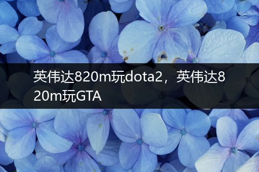 英伟达820m玩dota2，英伟达820m玩GTA