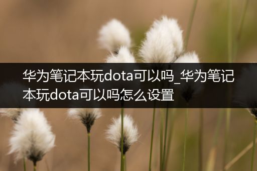 华为笔记本玩dota可以吗_华为笔记本玩dota可以吗怎么设置