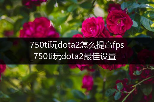 750ti玩dota2怎么提高fps_750ti玩dota2最佳设置