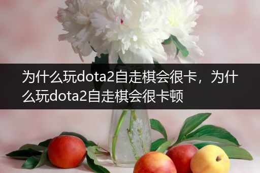 为什么玩dota2自走棋会很卡，为什么玩dota2自走棋会很卡顿