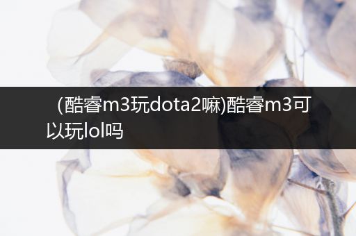 （酷睿m3玩dota2嘛)酷睿m3可以玩lol吗