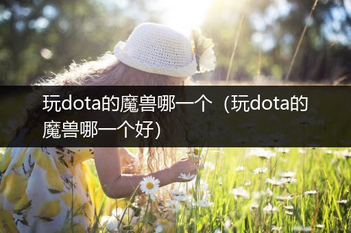 玩dota的魔兽哪一个（玩dota的魔兽哪一个好）