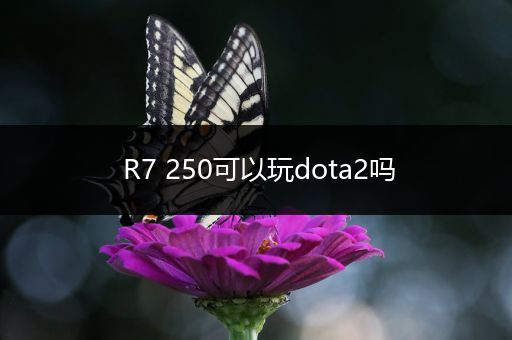 R7 250可以玩dota2吗