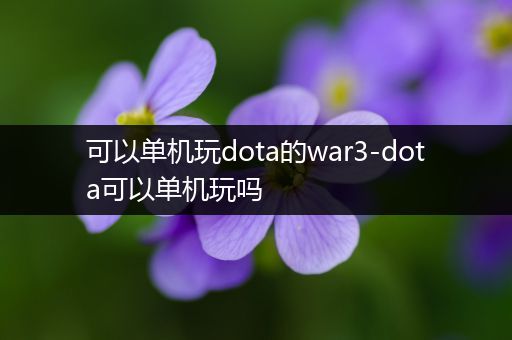 可以单机玩dota的war3-dota可以单机玩吗