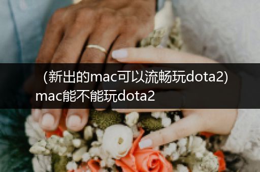 （新出的mac可以流畅玩dota2)mac能不能玩dota2