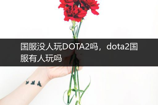 国服没人玩DOTA2吗，dota2国服有人玩吗