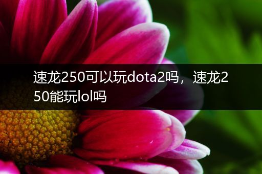 速龙250可以玩dota2吗，速龙250能玩lol吗