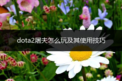 dota2屠夫怎么玩及其使用技巧