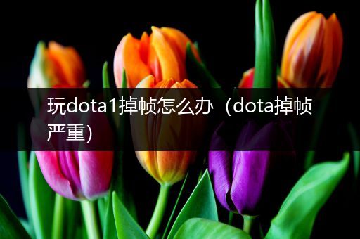 玩dota1掉帧怎么办（dota掉帧严重）